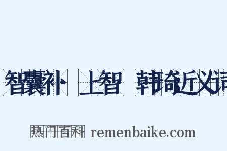 智囊补·上智·韩琦近义词是什么意思的图片